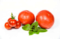 Tomato Fruit