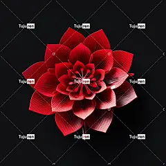 3D线条艺术红花标志海报