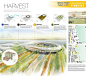 2014 AIA|DC Unbuilt Award Winners