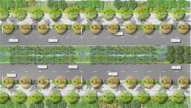 江心洲环岛滨水二级道路园林景观设计_景观...