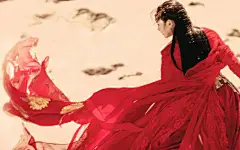 东宫小枫电脑壁纸的搜索结果_百度图片搜索