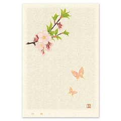 ZIFO采集到插画