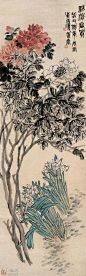吴昌硕