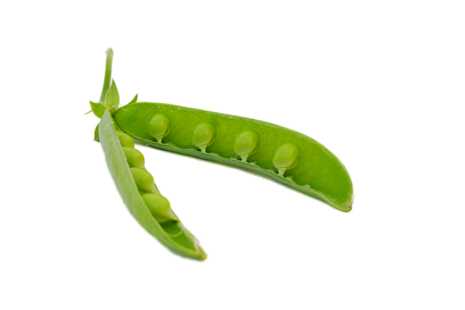 Pea PNG