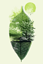 Live in Nature by Dzeri29 http://society6.com/product/Live-in-Nature-fFm_Print: 
