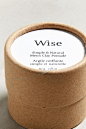 Wise Glacier Clay Pomade Refill Tube | 香港Urban Outfitters