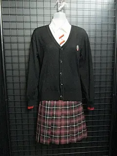 【每日种草高清重置版】愛知県豊田市保見町南山私立高校，豊田大谷高等学校。前几年更换了制服。旧制服（P1-2）中冬服为绀色西式，与新款冬服相差不大。旧款夏服为包边灰格一本，胸档有浅灰刺绣，金色纽扣，搭配灰裙。新款（P3-5）的夏服则是黑赤异色襟线水手服，搭配赤格裙。无论是旧款新款的夏服都很 ​​​​...展开全文c