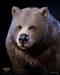 Baldur's Gate 3 - Bear