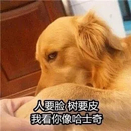 今日神段丨去食堂买宵夜，以为是同学一个反...