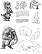 动物的画法日本漫画手绘技法经典教程 速写画法 零基础学画漫画素-淘宝网
