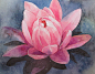 WATER LILY (art in process)