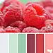raspberry hues