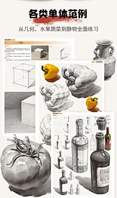 蔡兼素描静物 2020几何体石膏像单体组合结构照片对画临摹范本基础入门教程美院经典顶配高联考全集一本通美术绘画书籍教程教学材-tmall.com天猫