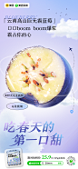 蓝莓海报2