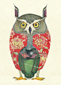 【Daniel Mackie创意动物水彩插画欣赏】