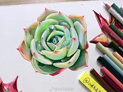 彩铅手绘-多肉植物
清晰绿意系列
期盼春的到来……

#彩铅手绘# #每日彩铅# #手绘# 

@插画绘画 @手绘画画 @插画圈 @绘画学院 @插画视觉 @插画精选 @插画家园 @插画绘画 @手绘插画 @手绘插画教程 @彩铅画教程 @我爱彩铅画 @手绘控_ @手绘工场 @优品多肉 ​​​​