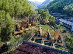 Adalheidi采集到Z-景观建筑