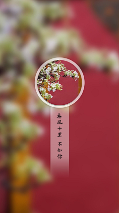 陈西西_Cc采集到西西_壁纸