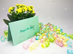 贺卡,幸福,水平画幅,标签,明信片,冬天,花头,季节,可爱的,蓝色