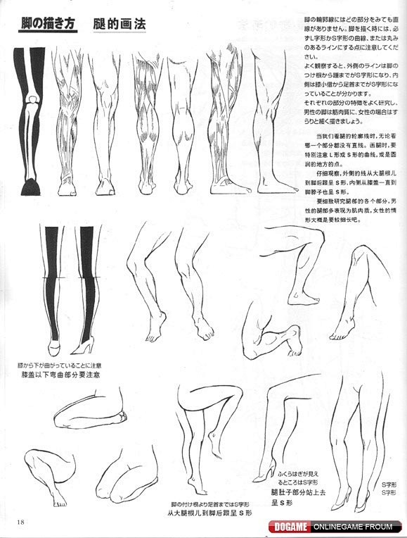腿的画法。