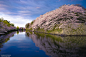 reflection by Yoshiki Fujiwara on 500px