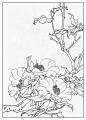 山茶花
