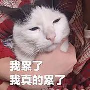 我是小张我很慌张