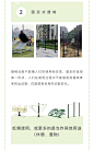 尚源用研 | 景观适老化之老年活动