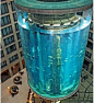 【最梦幻酒店大堂】位于德国柏林的Radisson Blu酒店拥有全世界最大的圆柱形水族箱，旅客在酒店扶梯、走廊甚至房间里就可以看到一百万升的鱼缸和1500多条热带鱼。.
