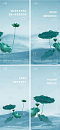 夏至节气海报-源文件