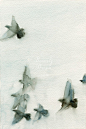 art + illustration / Flock of Pigeons - Watercolour