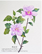 来自相册