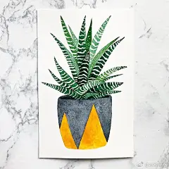 简单实用的小盆景水彩~~~（ins：paperbybb） ​（转）via @水彩精选 ​ ​​​​