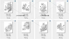 花卉手绘线稿图国画白描工笔画牡丹菊花月季茶花绘画临摹素材2-淘宝网