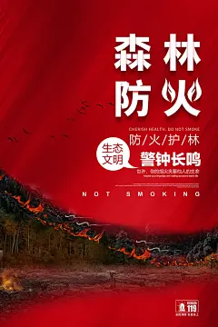 大气简约森林防火海报设计