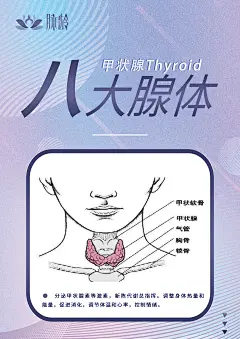 甲状腺thyroid-