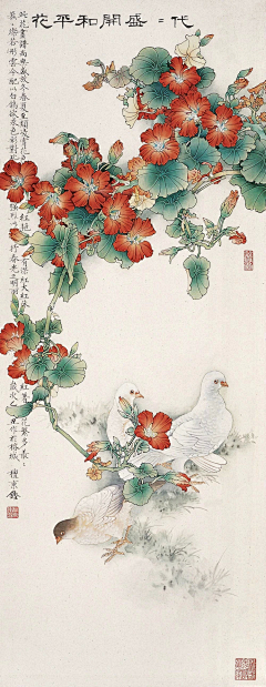 花畔花禮采集到工笔花鸟画