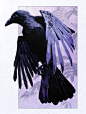 Personal Projects - March, 2019