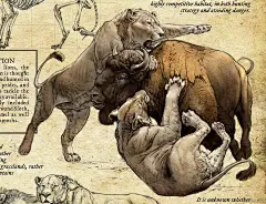 水彩 绘画 手绘 CG 插画 水粉 素描 写生 速写 动漫 漫画 卡通 设计 平面设计 花 植物 黑白 排线 鸟 水彩 植物 荷花 花 水彩 水粉 色彩 线描 动漫动画 动漫人物 手绘风格 PNG 小清新 (1090)