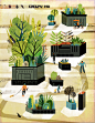 Can We Help Our Forests Prepare for Climate Change? — Wenjia Tang : Can We Help Our Forests Prepare for Climate Change? Illustrations for Sierra Magazine Jan/Feb 2019 issue, about migrating species of plants to adapt the climate...