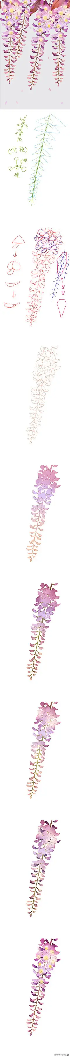 绘画学习各种好看的花卉绘制教程大合集！玫瑰、百合、山茶花等9种不同的花卉设计绘制，喜欢花花的不容错过哈！#插画艺术作品# ​​​ ​​​​