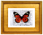 Flutterby Kiss 5, Fine Art Print traditional-fine-art-prints