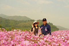 墨迹时景么么哒采集到人