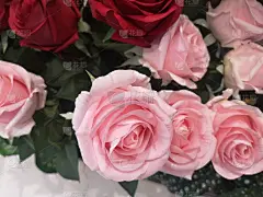粉色，红色玫瑰手工花束鲜花装饰装饰背景复古经典色调的贺卡庆祝活动设计复古，织物和塑料，情人节，爱的象