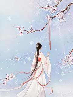 踏雪寻梅 - 小红书