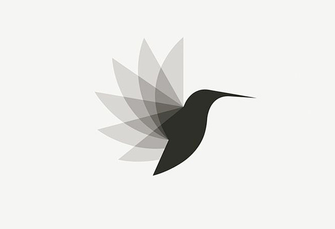 leManoosh：照片