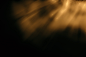 VCG41N1839770755
