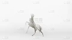 树长得像马。环保的概念。