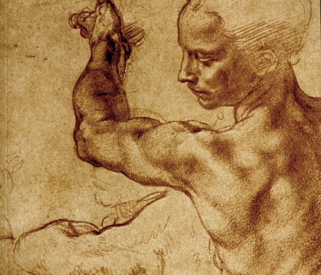 米开朗基罗素描