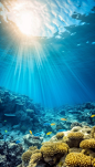 蓝色阳光水下珊瑚海底世界图片